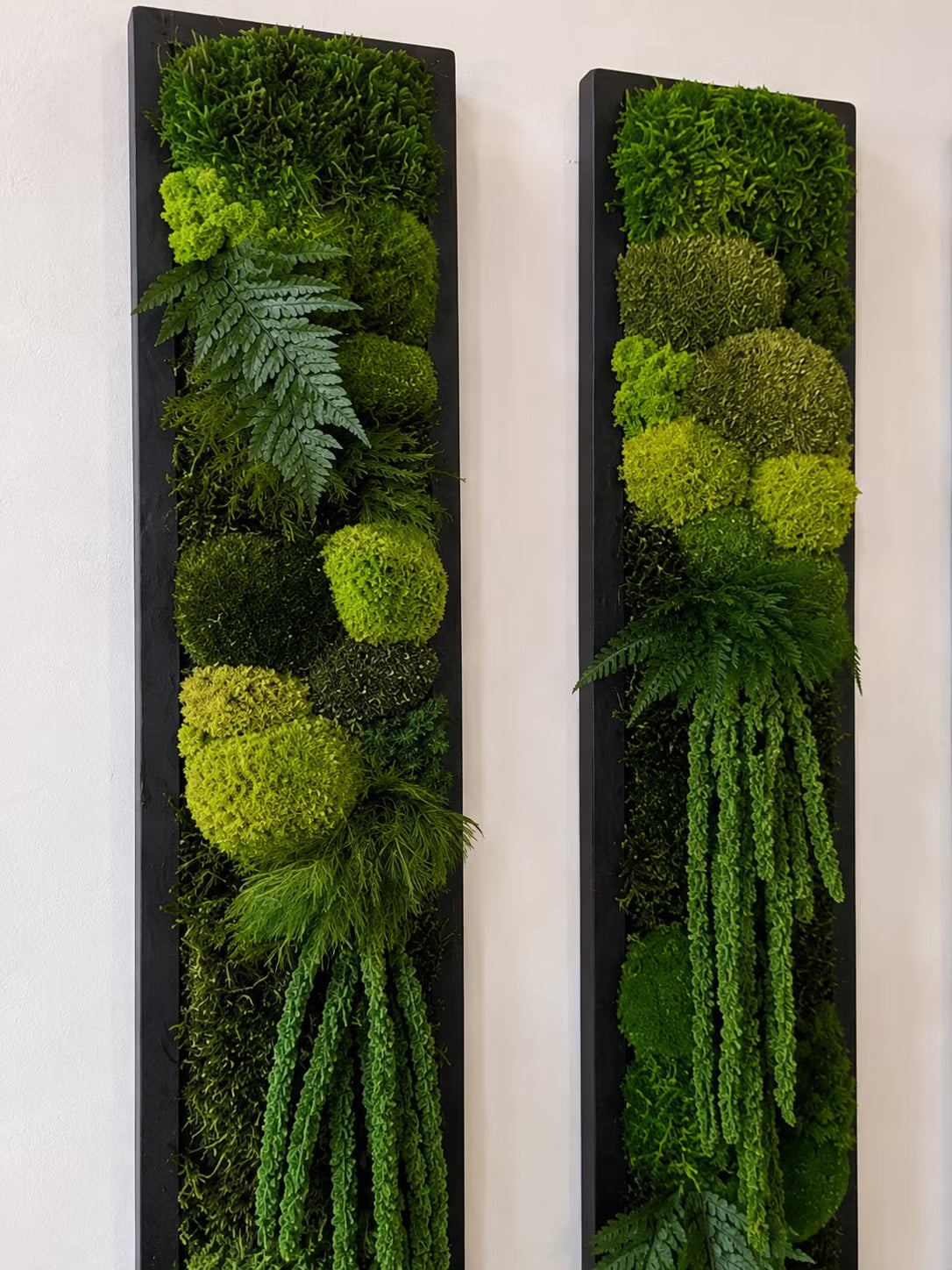 Evermoss Skogsøyle™: Eksklusivt vertikalt mosebilde med hengende botaniske detaljer
