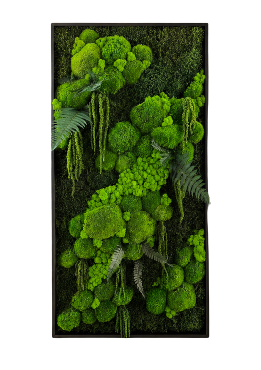Evermoss Skogfall™ : Vertikalt mosebilde med 3D-struktur og hengende mose