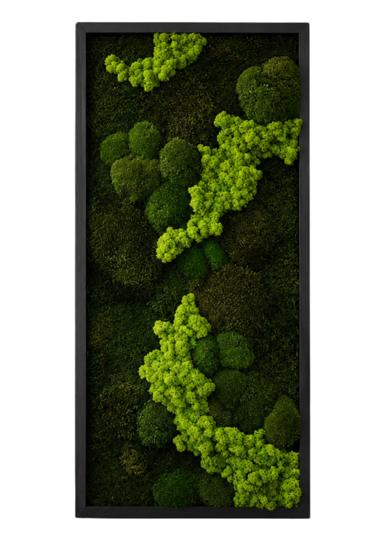 Evermoss Grønn Strøm™:  Vertikalt mosebilde med naturlig flyt og 3D-struktur